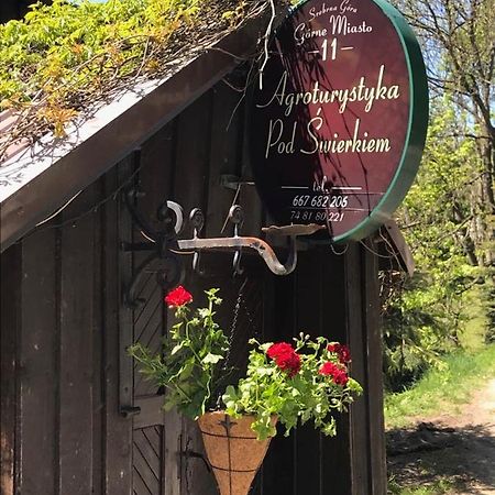 Agroturystyka Pod Swierkiem Srebrna Góra Dış mekan fotoğraf
