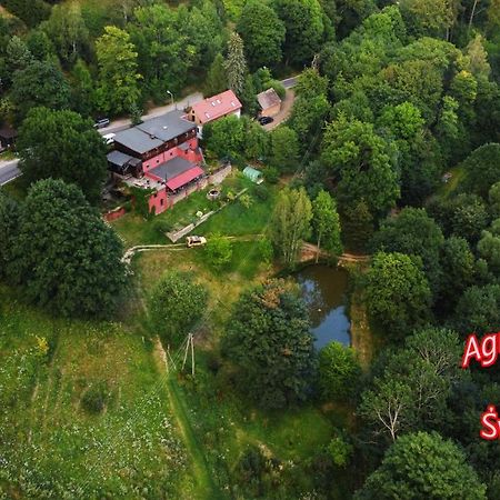 Agroturystyka Pod Swierkiem Srebrna Góra Dış mekan fotoğraf