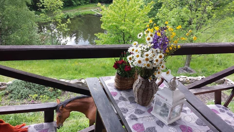 Agroturystyka Pod Swierkiem Srebrna Góra Dış mekan fotoğraf