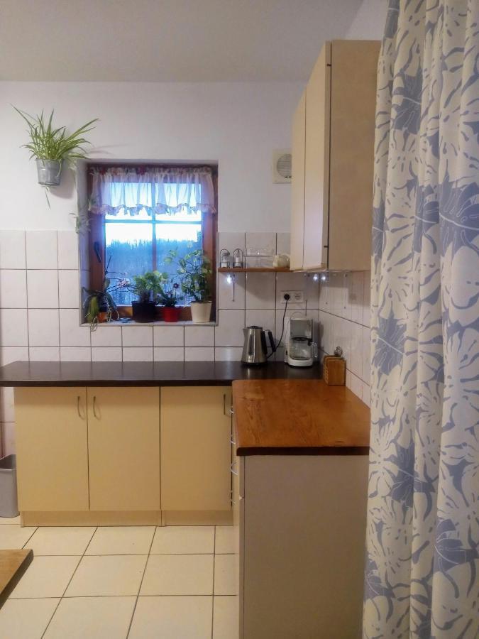 Agroturystyka Pod Swierkiem Srebrna Góra Dış mekan fotoğraf